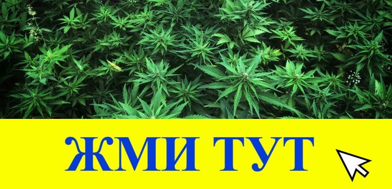 Купить наркотики в Миньяре